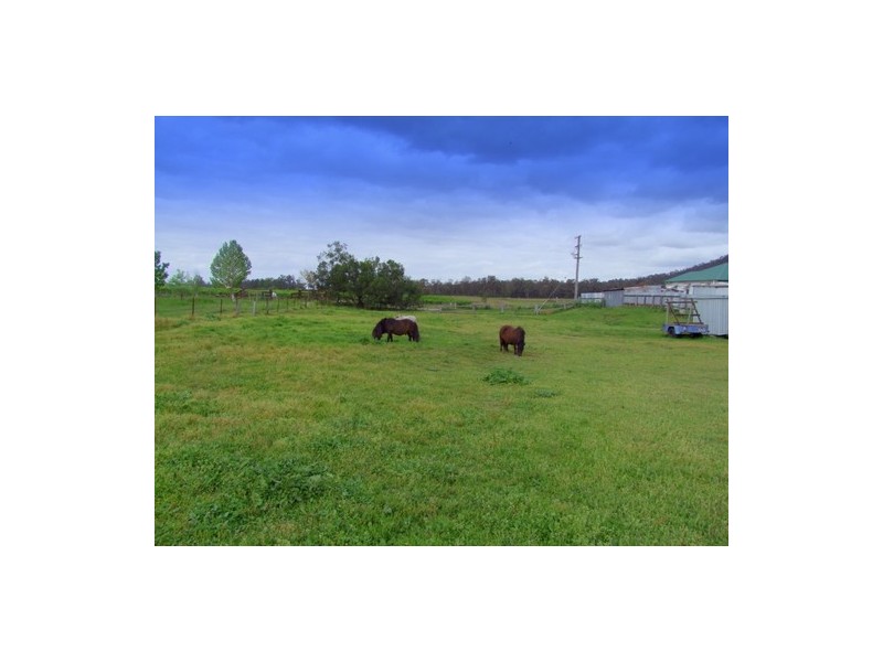 Bulga NSW 2330