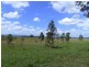 Singleton NSW 2330