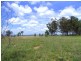 Singleton NSW 2330