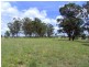 Singleton NSW 2330