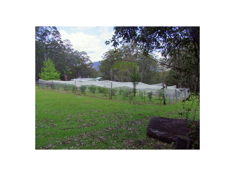 639 Cassels Road, Mount Royal NSW 2330