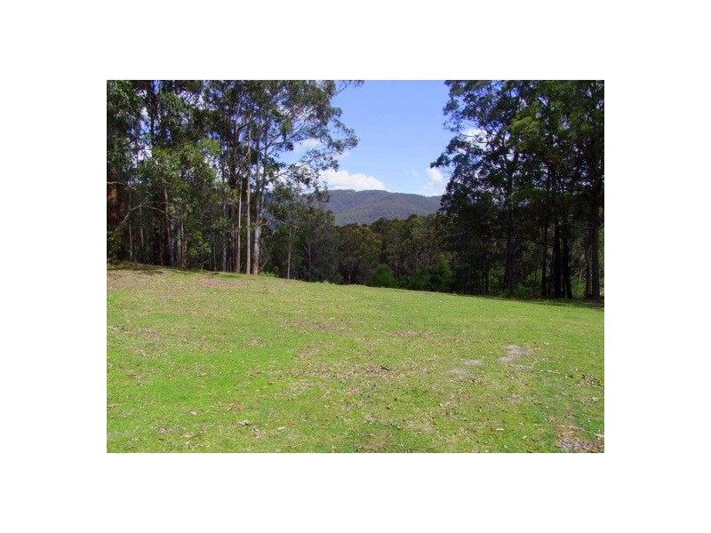 639 Cassels Road, Mount Royal NSW 2330