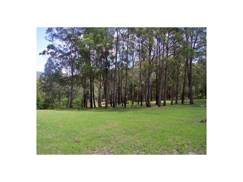 639 Cassels Road, Mount Royal NSW 2330