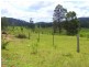 Putty NSW 2330
