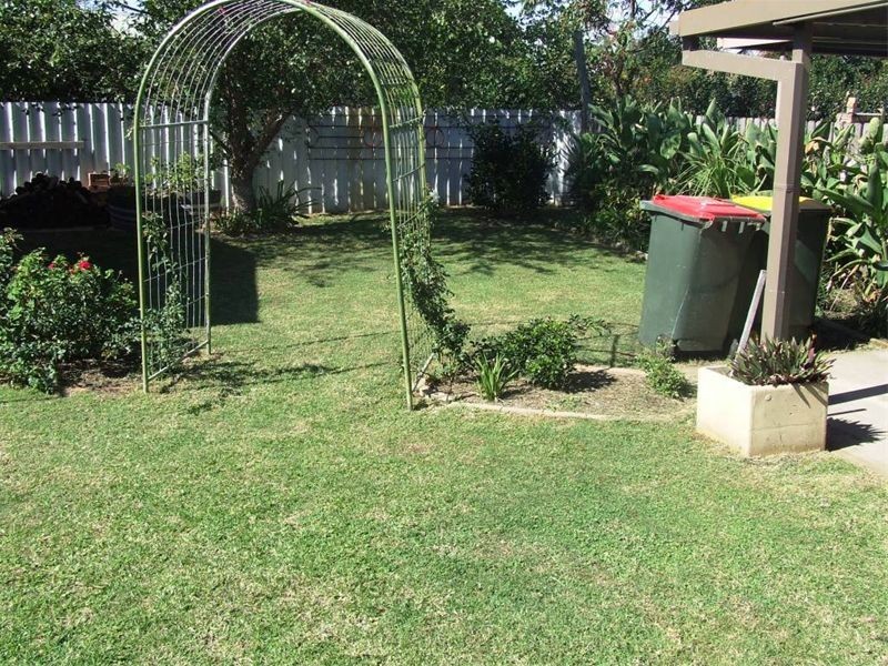 20 Orchard Avenue, Singleton NSW 2330