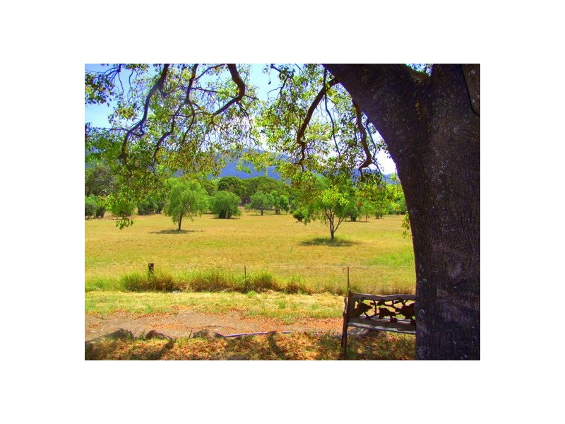 Jerrys Plains NSW 2330