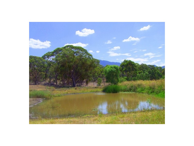 Jerrys Plains NSW 2330