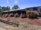 Singleton NSW 2330