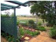 Jerrys Plains NSW 2330