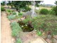 Jerrys Plains NSW 2330
