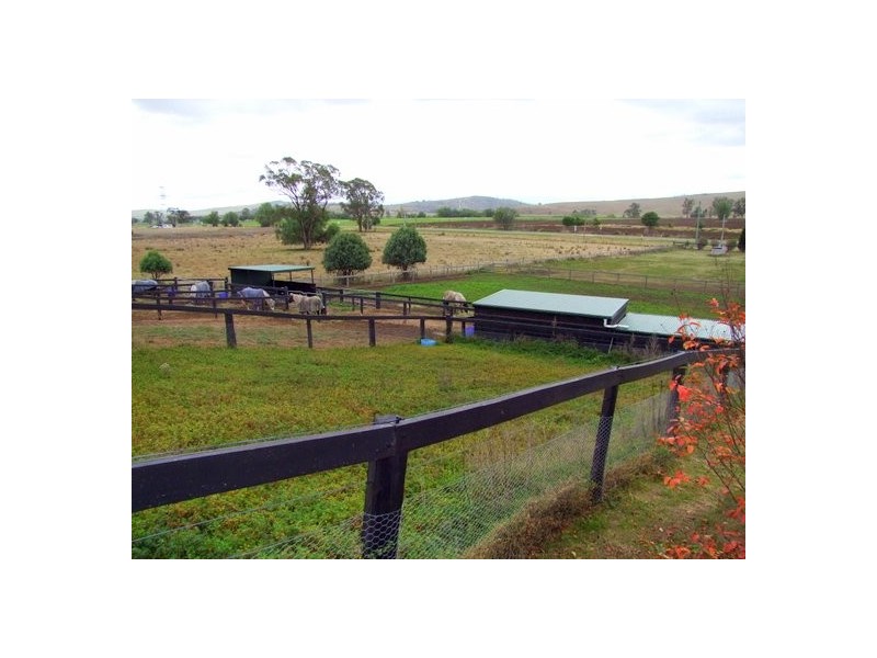 Singleton NSW 2330