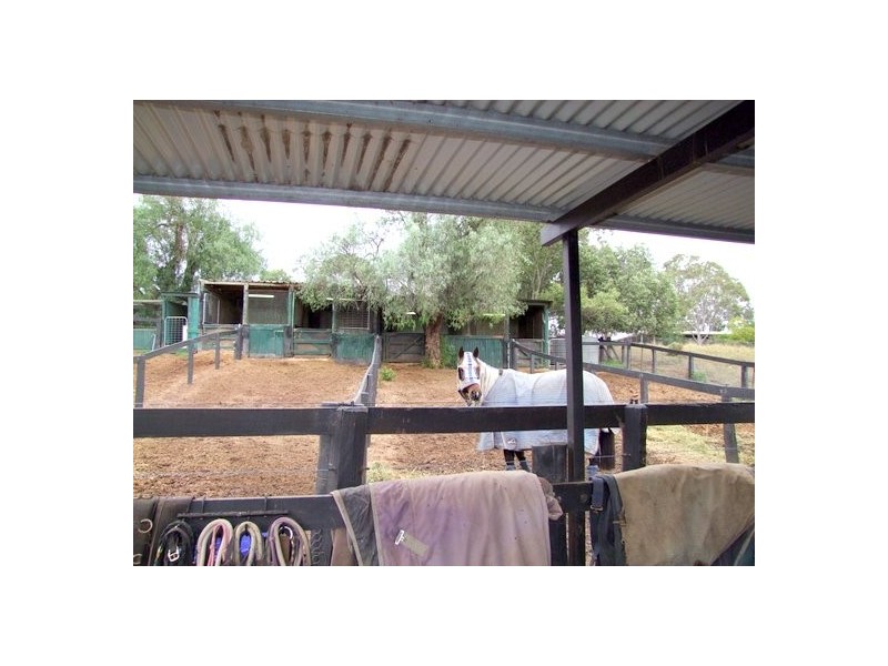 Singleton NSW 2330