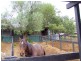 Singleton NSW 2330