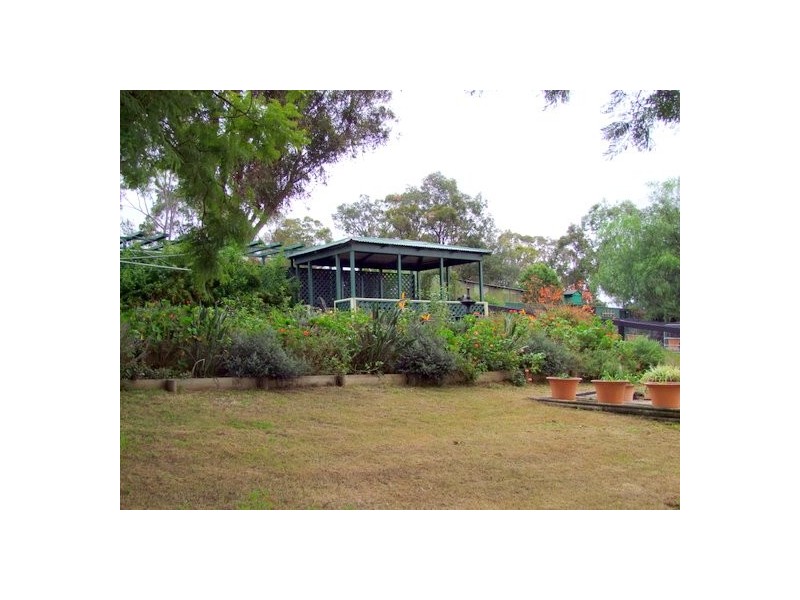 Singleton NSW 2330