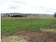 Singleton NSW 2330