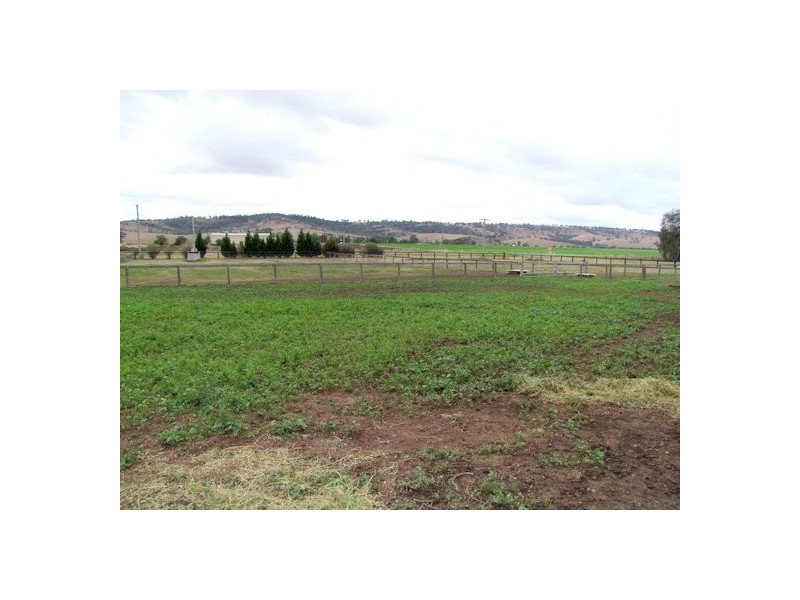 Singleton NSW 2330