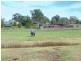 Singleton NSW 2330
