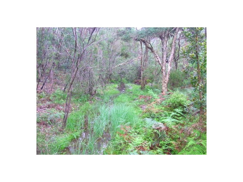 Howes Valley NSW 2330