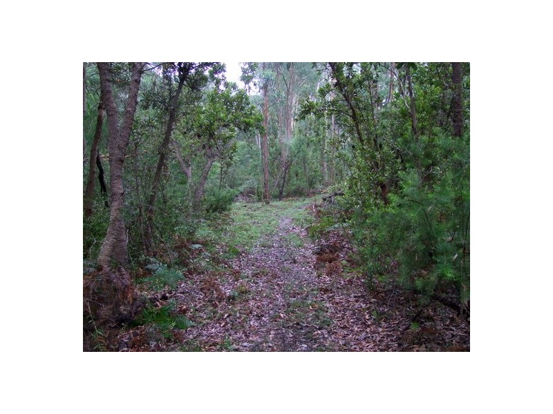 Howes Valley NSW 2330