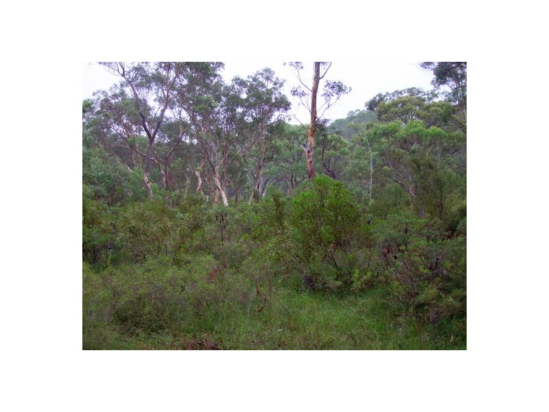 Howes Valley NSW 2330