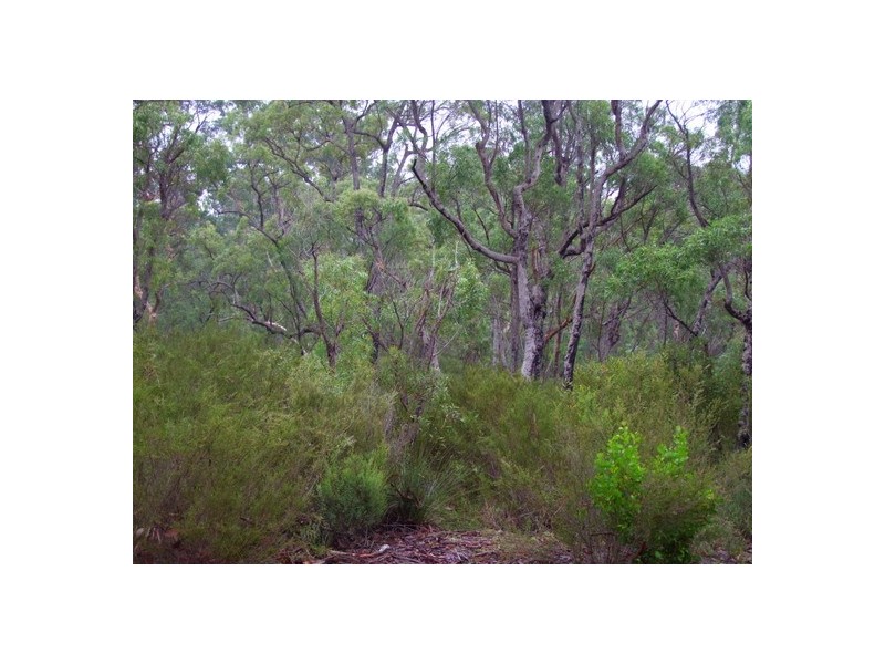 Howes Valley NSW 2330