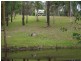 Putty NSW 2330