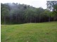 Putty NSW 2330