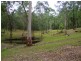 Putty NSW 2330