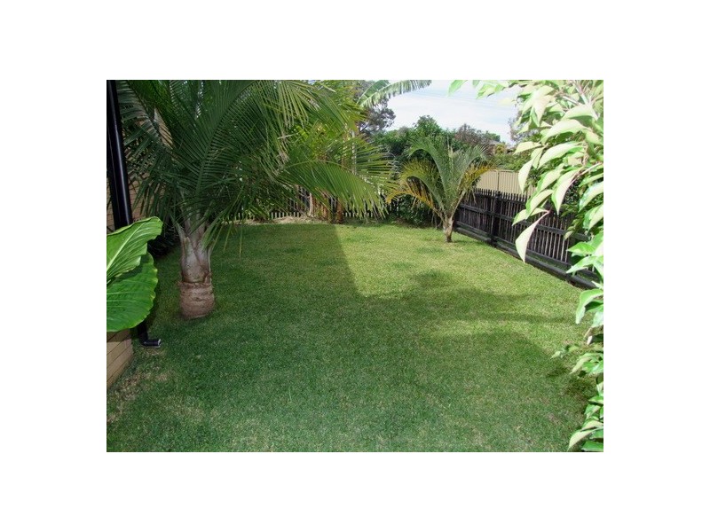 Singleton NSW 2330