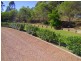 Singleton NSW 2330