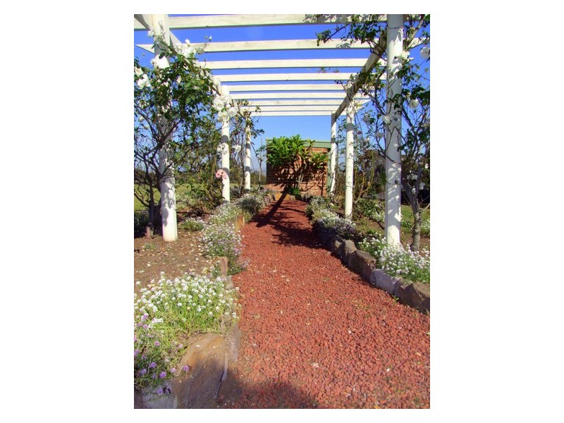 Singleton NSW 2330