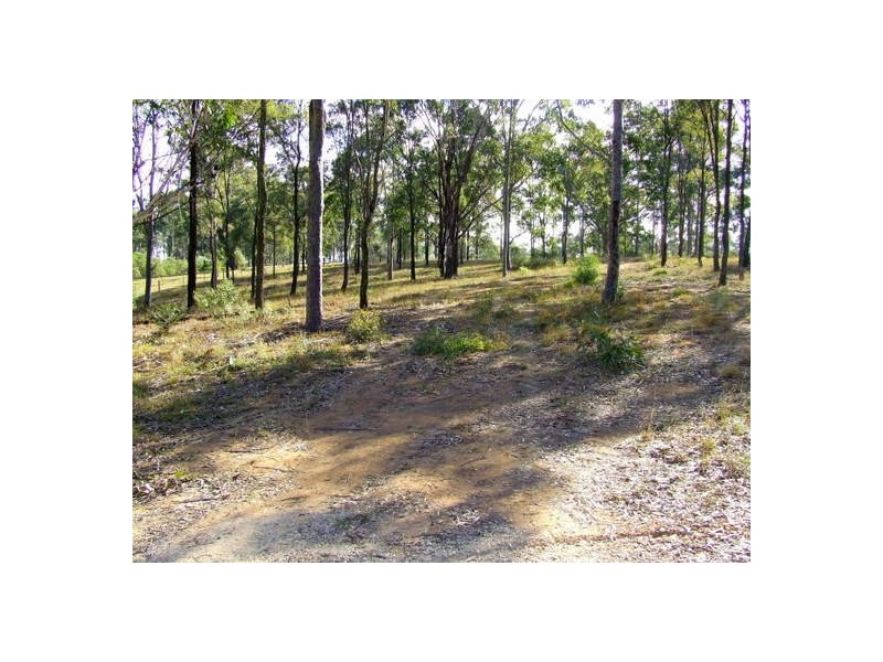 Lot 522 Maison Dieu Road, Singleton NSW 2330