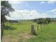 Singleton NSW 2330