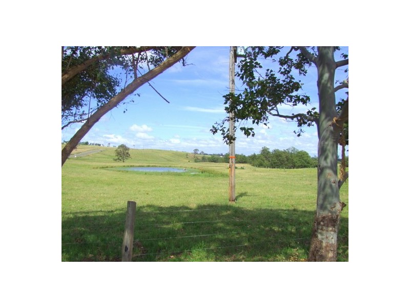 Singleton NSW 2330