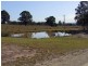 Singleton NSW 2330