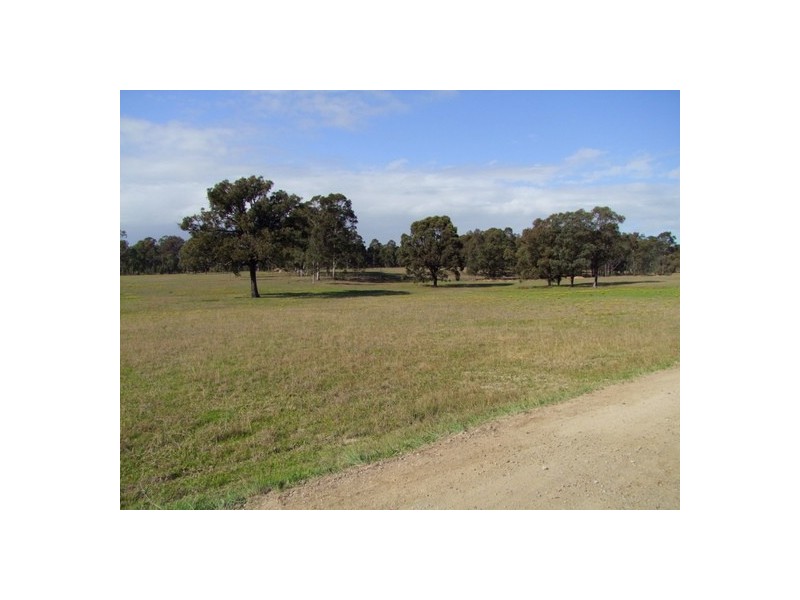 Singleton NSW 2330