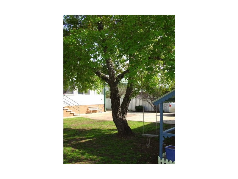 Singleton NSW 2330