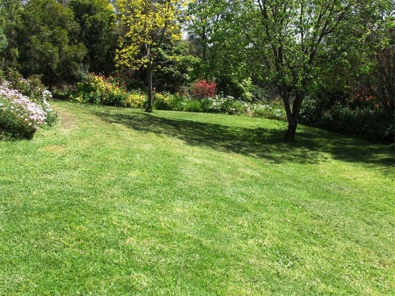 219 Maison Dieu Road, Singleton NSW 2330