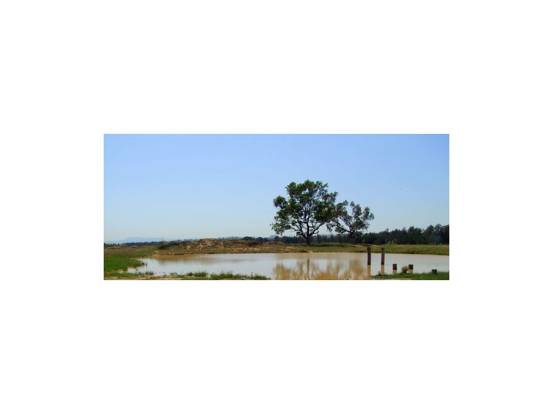 Singleton NSW 2330