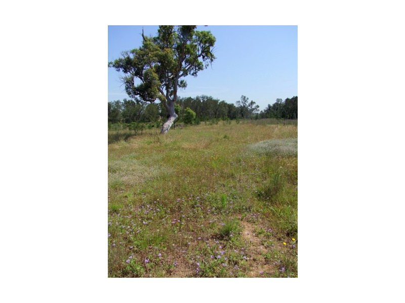 Singleton NSW 2330