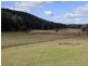 Putty NSW 2330