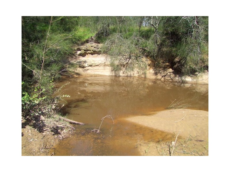 276 Dyrring Road, Singleton NSW 2330