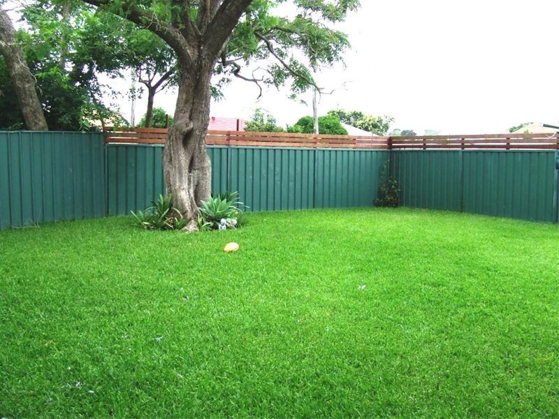 6  Rawcliffe Street, Singleton NSW 2330