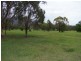 Doyles Creek NSW 2330