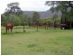 Doyles Creek NSW 2330