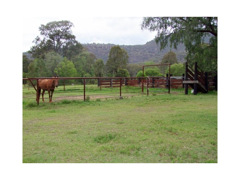 Doyles Creek NSW 2330