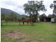 Doyles Creek NSW 2330