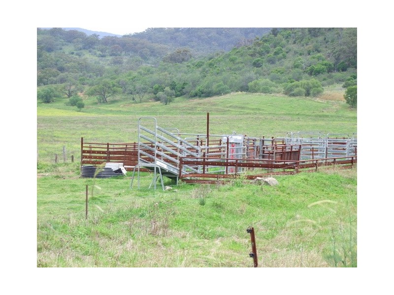Denman NSW 2328