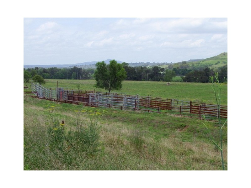 Denman NSW 2328