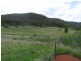 Denman NSW 2328